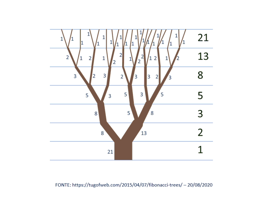 Sequência de Fibonacci na natureza
