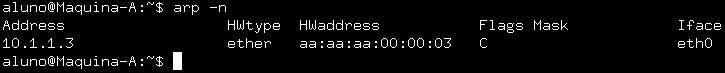Tabela ARP contendo o endereço Ethernet associado ao IP 10.1.1.13