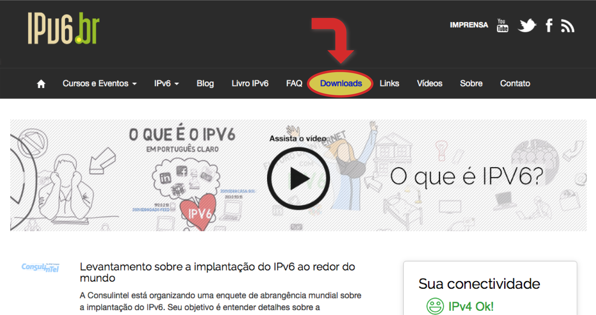 Parte superior do site IPv6.br.